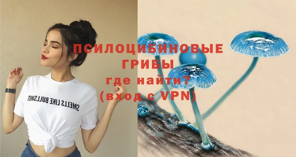 ГАЛЛЮЦИНОГЕННЫЕ ГРИБЫ Нязепетровск