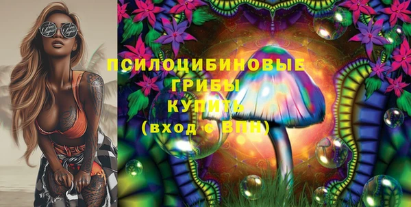 круглые Новодвинск