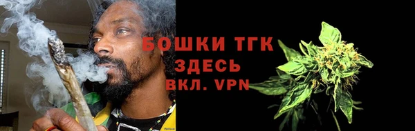 прущие грибы Пестово