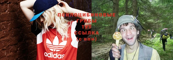 Альфа ПВП Нягань