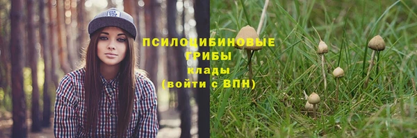 кокаин Осинники