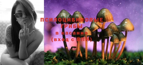 Альфа ПВП Нягань