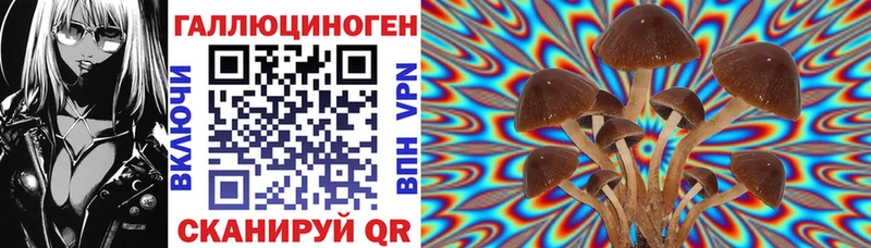 где купить   Задонск  Галлюциногенные грибы Cubensis 